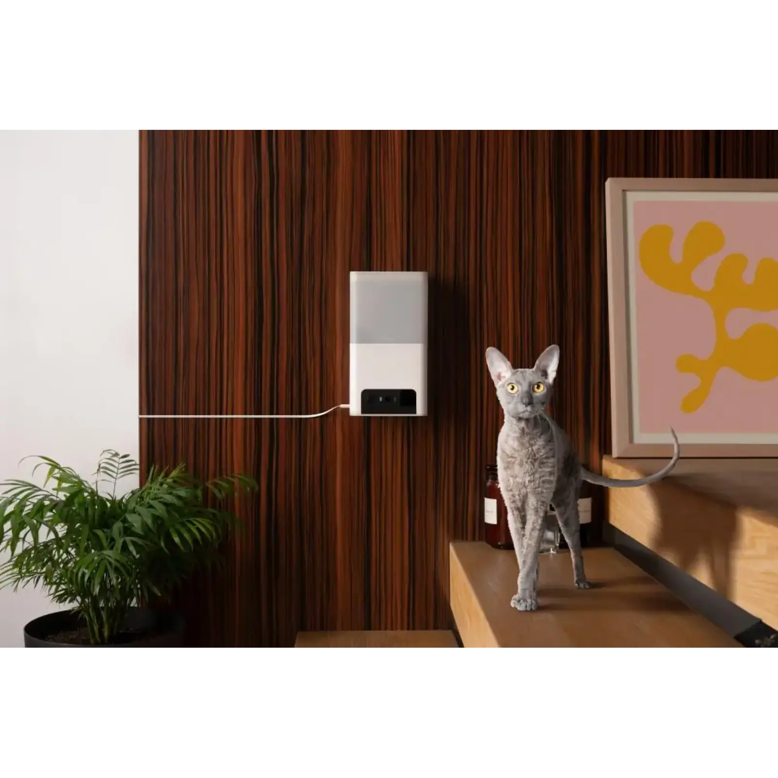 Інтерактивна HD-камера Petcube Bites 2 Lite (BL10US) UA