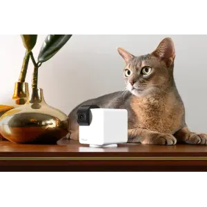 Компактна HD-камера Petcube Cam 360 (P36010US) UA