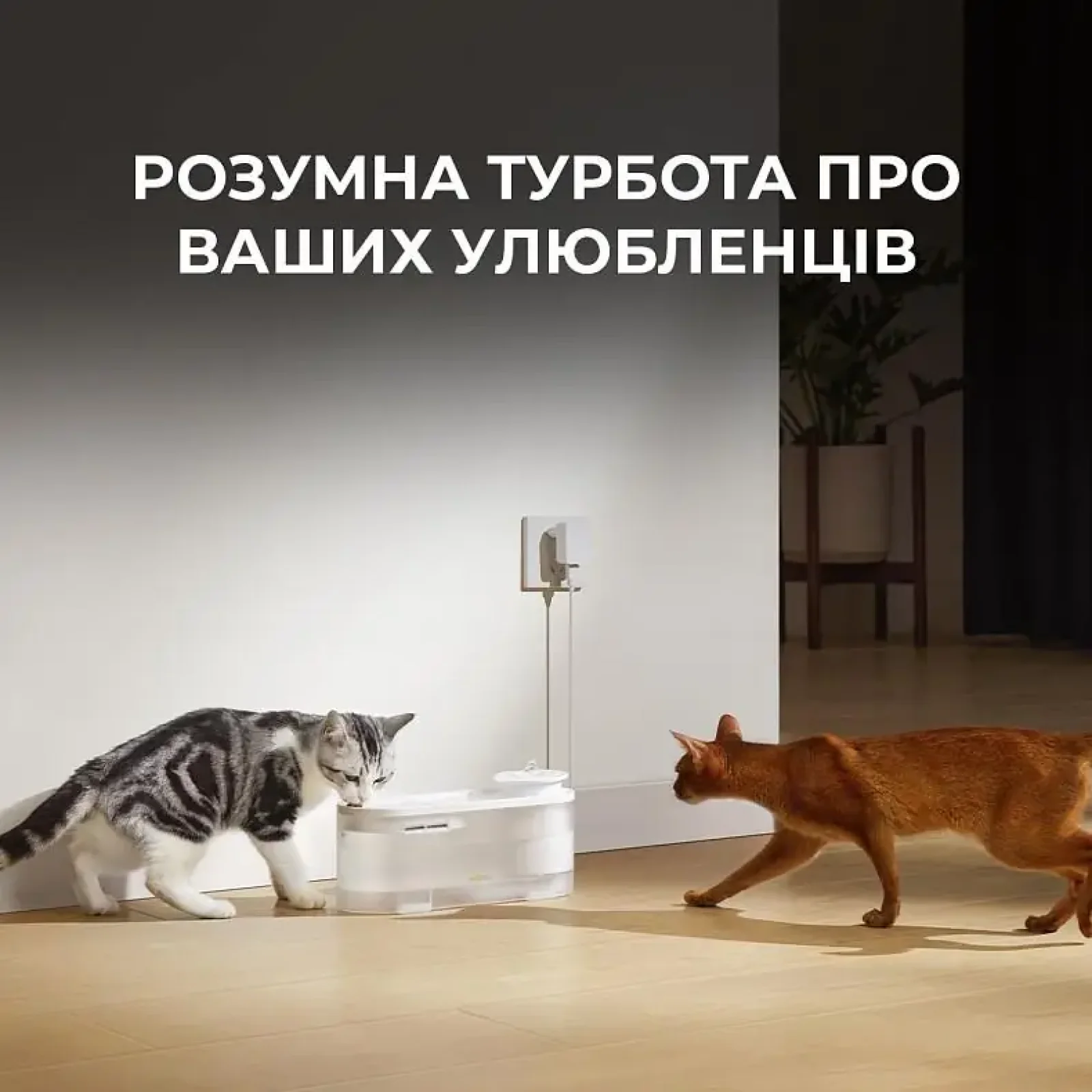 Поїлка-фонтанчик для тварин Mova WF10 Pro (PWB20A) UA