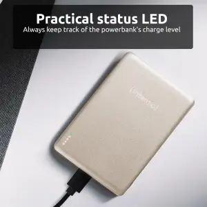 Зовнішній акумулятор USB 5000MAH MAG CHAMPAGNE MW5000 7344021 INTENSO UA