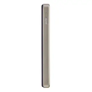 Зовнішній акумулятор USB 5000MAH MAG CHAMPAGNE MW5000 7344021 INTENSO UA