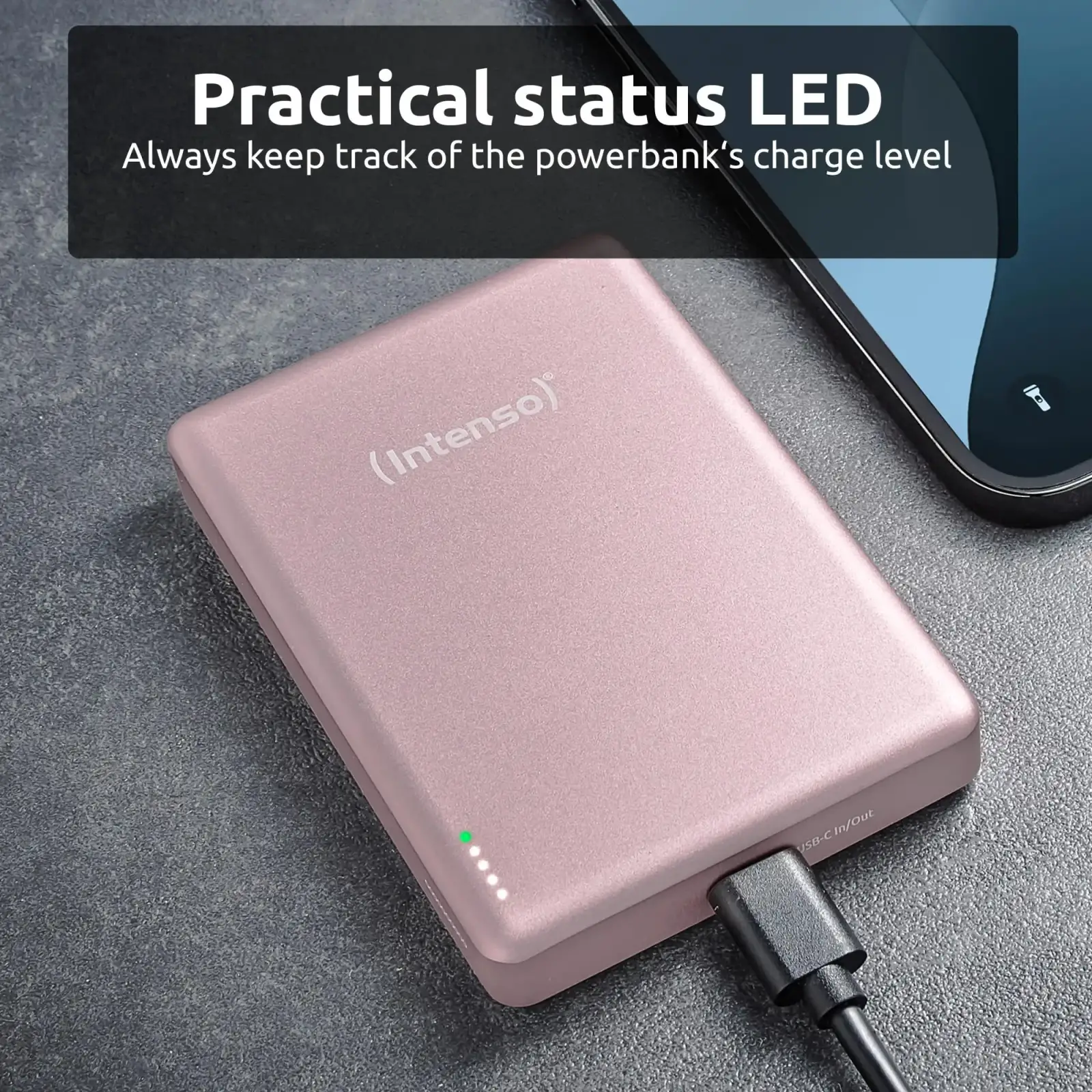 Зовнішній акумулятор USB 10000MAH MAG ROSE MW10000 7344033 INTENSO UA