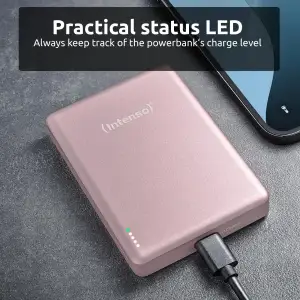 Зовнішній акумулятор USB 10000MAH MAG ROSE MW10000 7344033 INTENSO UA